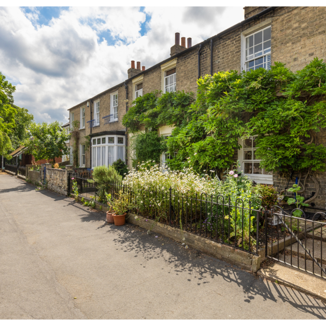 Image of Chesterton 1