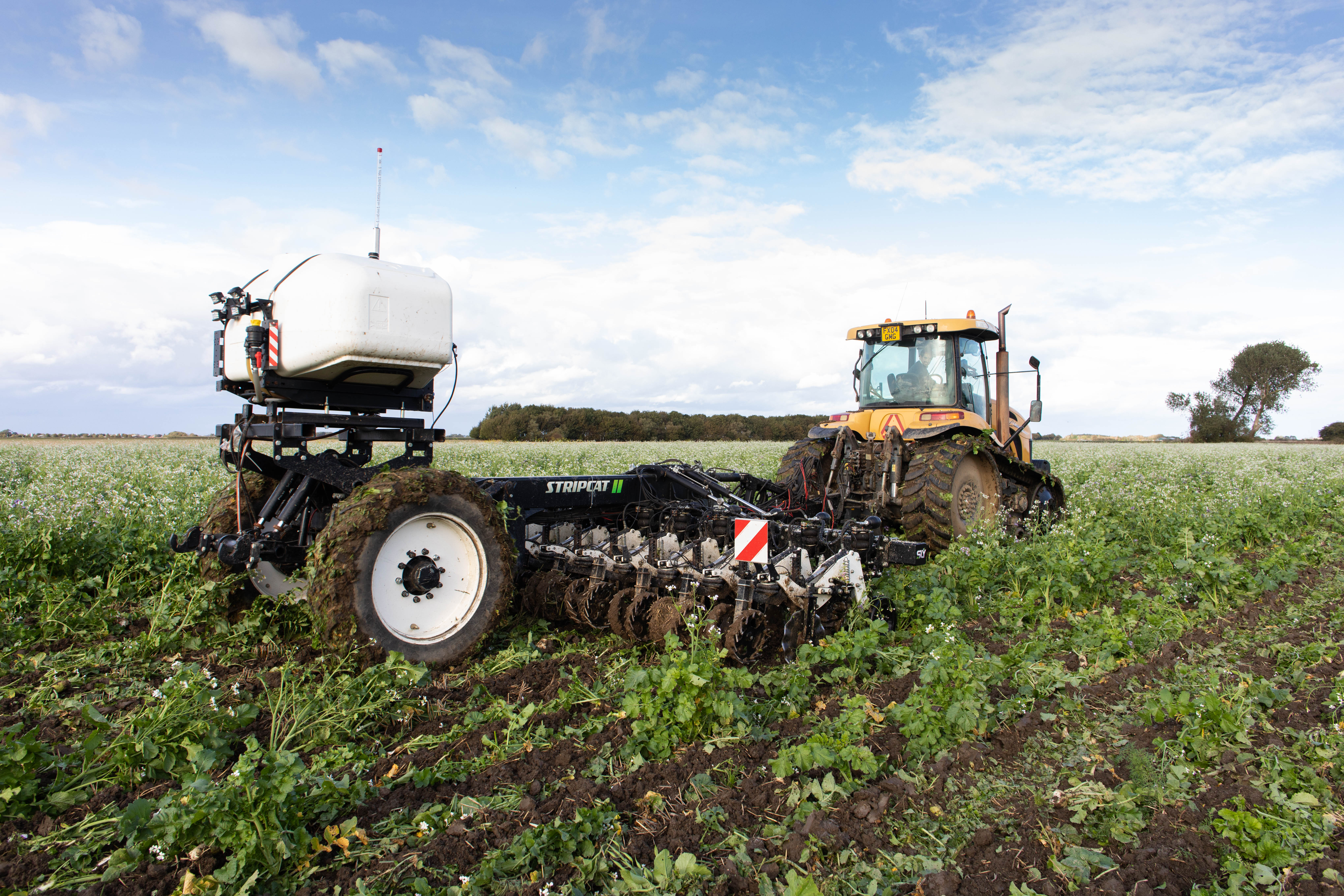 Feed the soil, not the plants