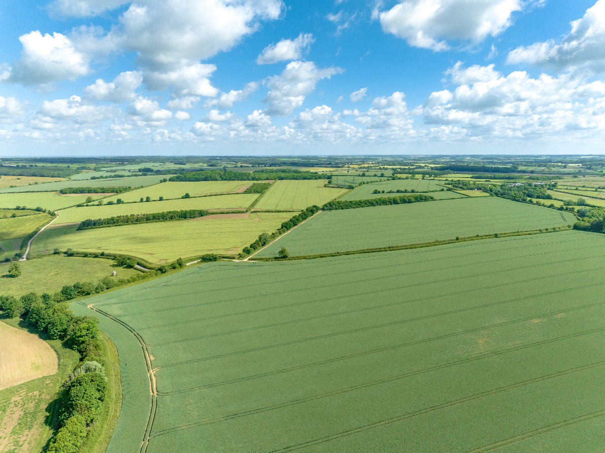 Sale of an attractive farm with historic woodland in the desirable Stour Valley, Suffolk