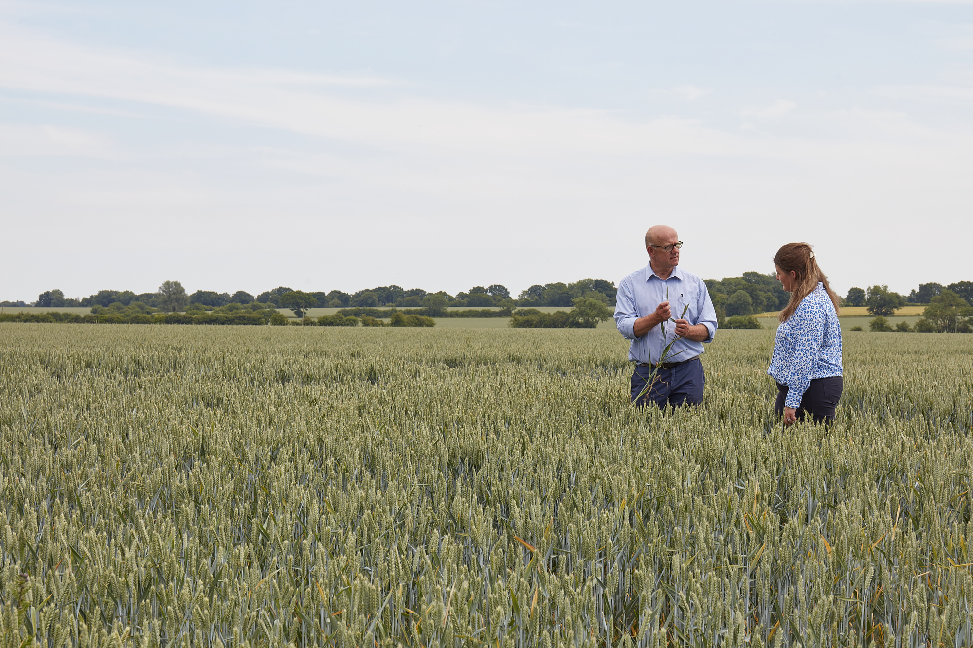 Breaking free from the input-output price dilemma: a guide for arable farmers