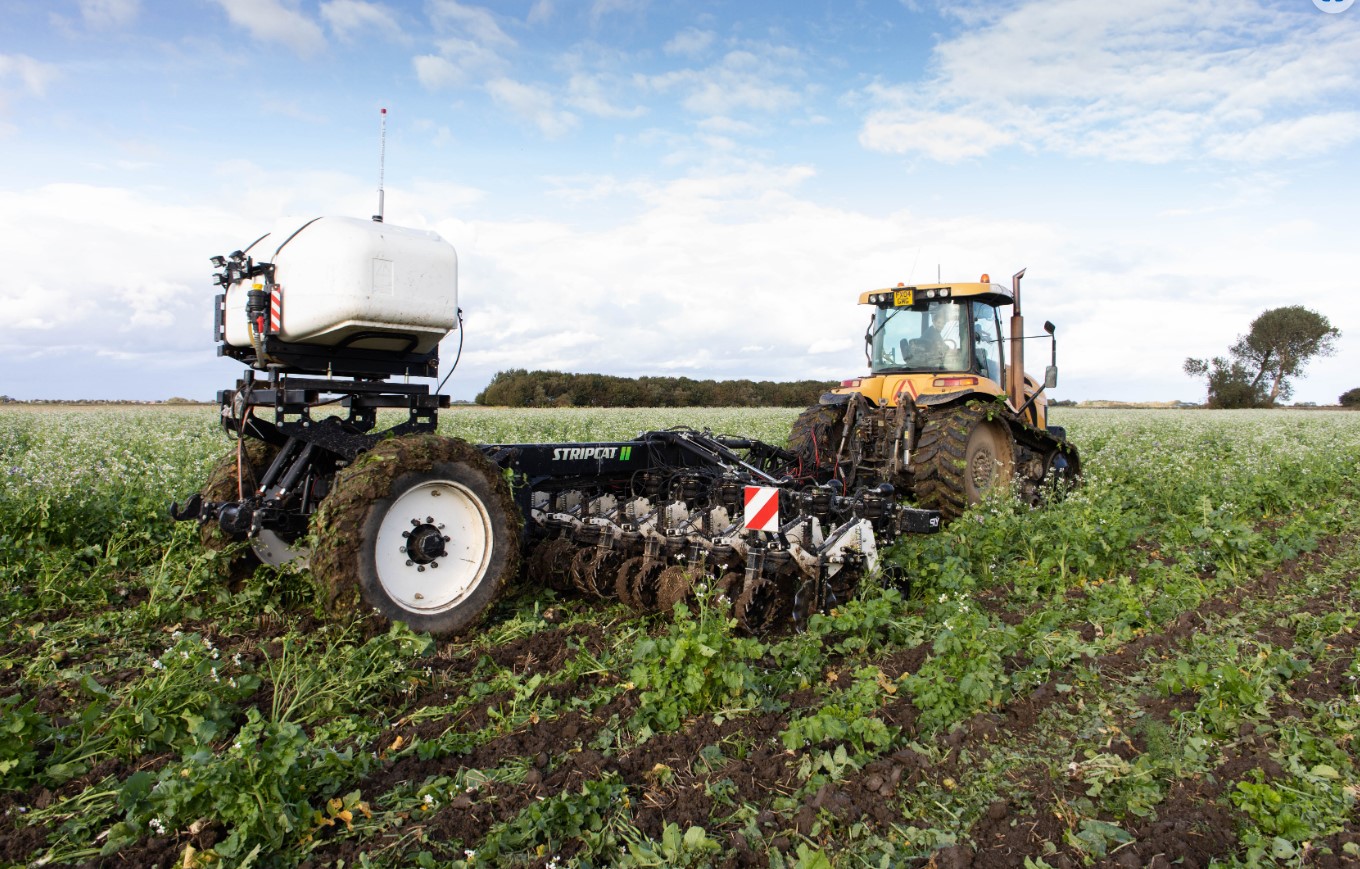 Feed the soil, not the plants