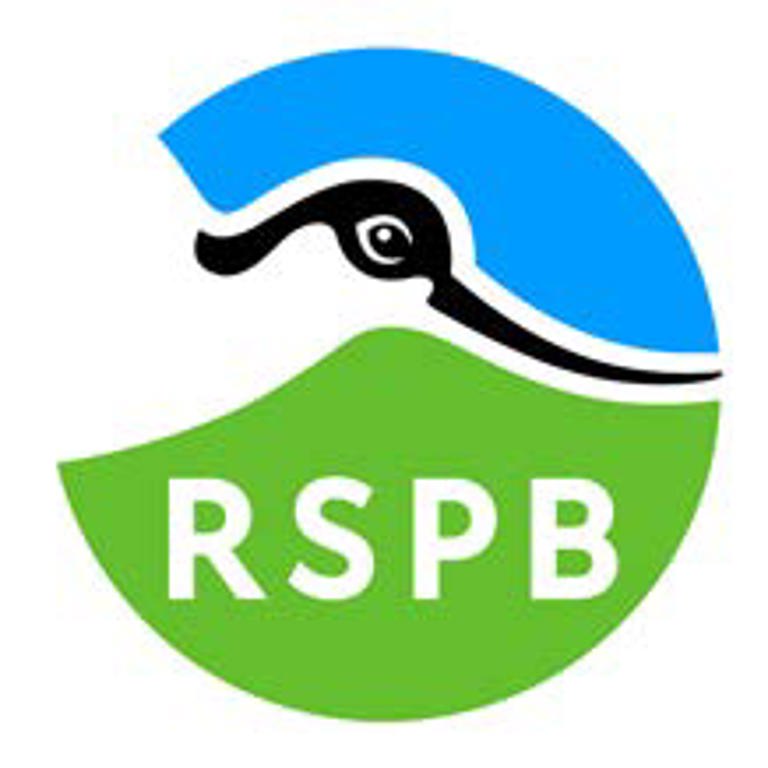 Image of RSPB