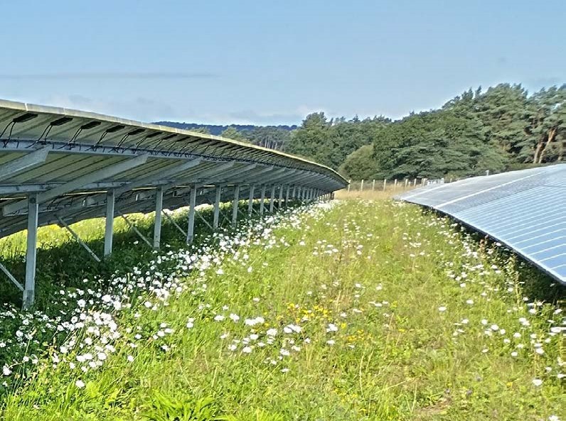 Creating Nature Rich Solar Sites