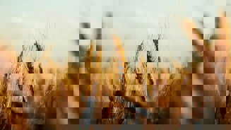 Image of amir-benlakhlef-gtM8tcCoNT0-unsplash (1)