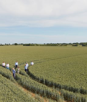 Introduction | Rural Outlook