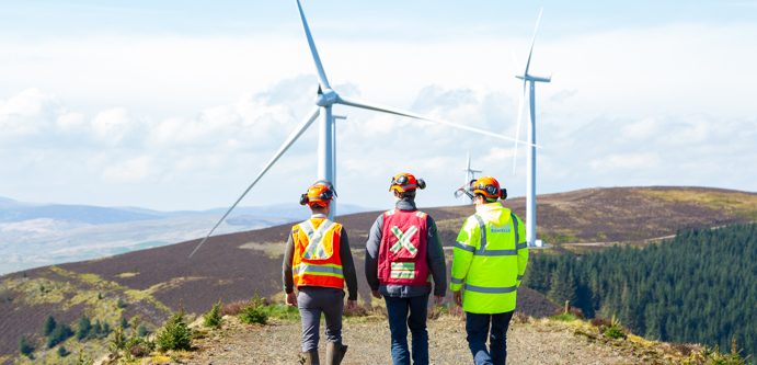 Image of Birnock Forest – Scotland 62
