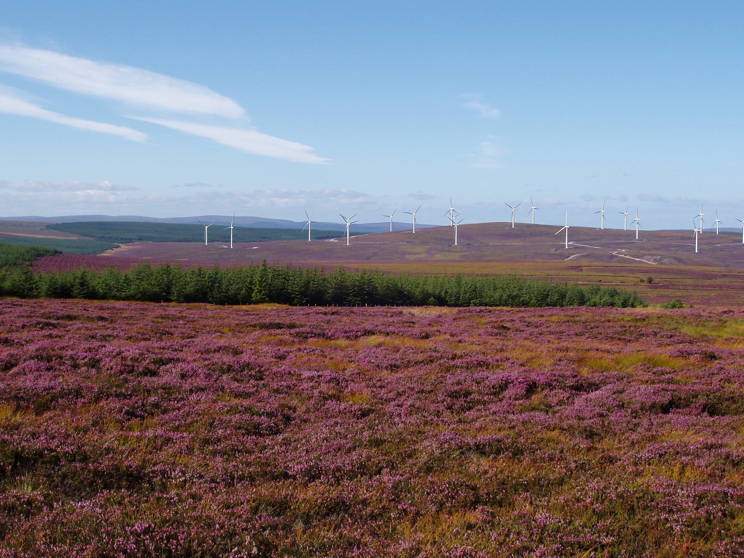 New Scottish planning policy encourages expansion of renewables