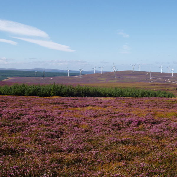 New Scottish planning policy encourages expansion of renewables