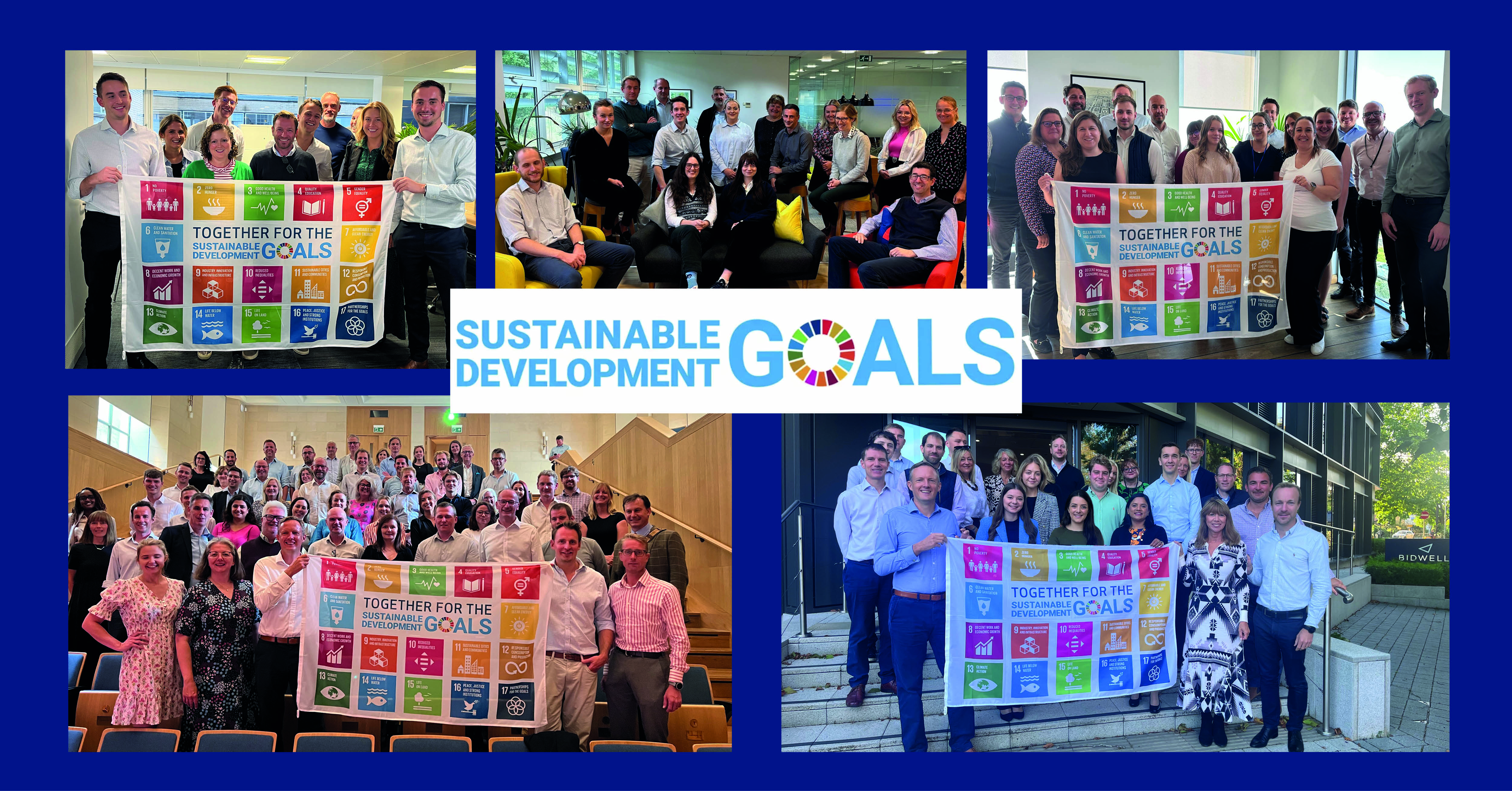 Sustainable Development Goals: Only together can we achieve the Global Goals