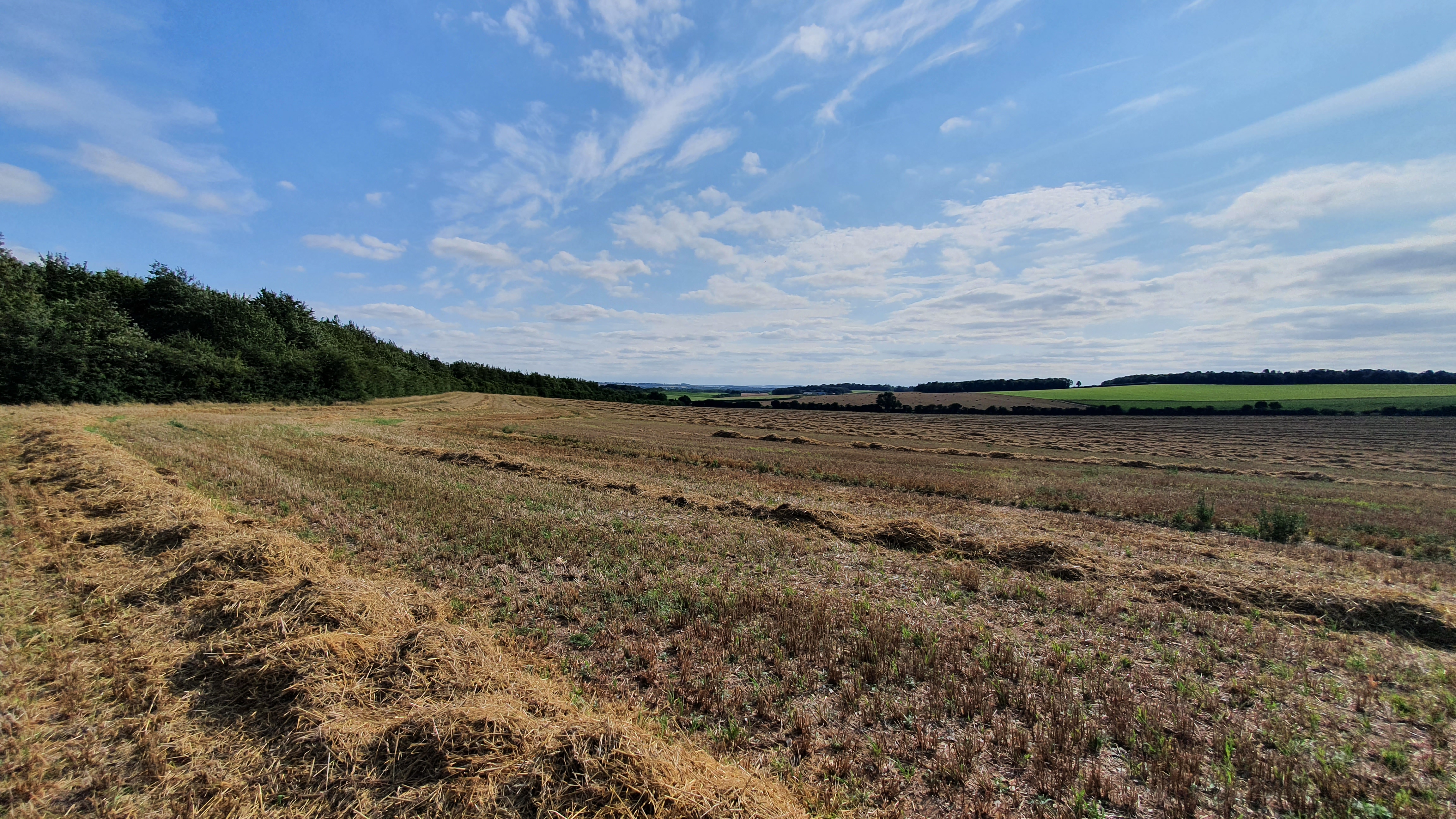 Lower Valley Farm Pilot Biodiversity Net Gain Scheme