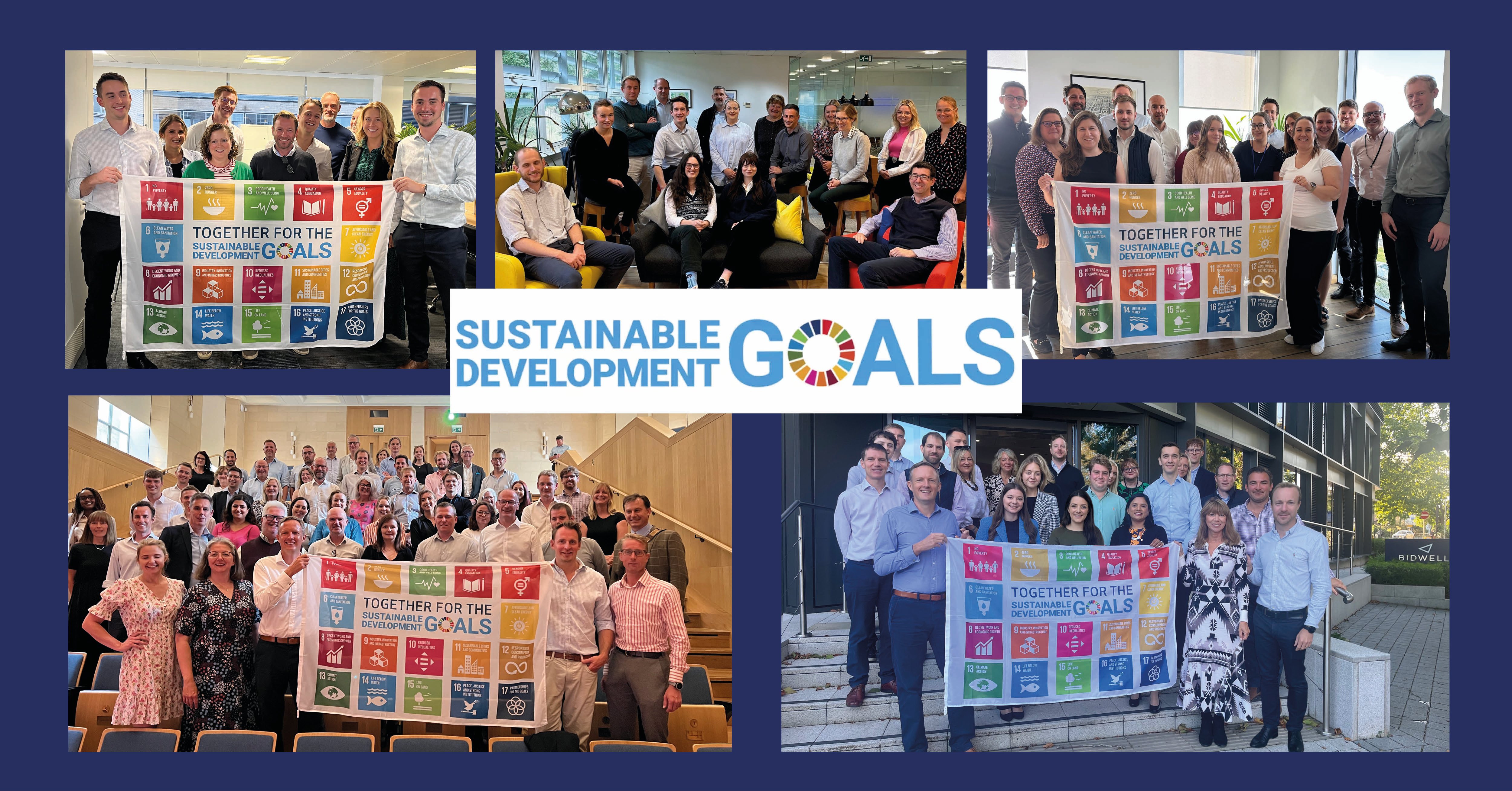 SDG Social graphic.jpg